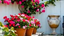 flower pot